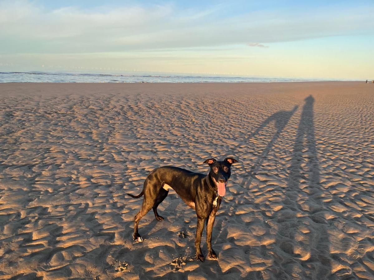 Haven Caravan: Dog-friendly Retreat In Holiday home Prestatyn