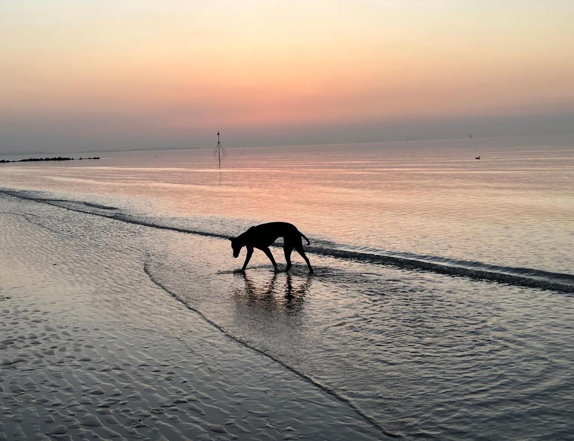 Haven Caravan: Dog-friendly Retreat In Holiday home Prestatyn