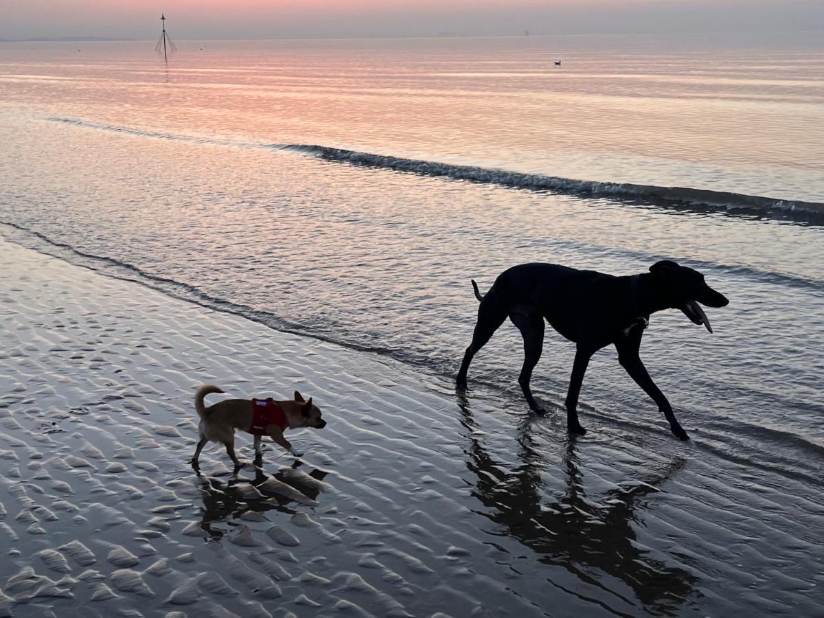 Holiday home Haven Caravan: Dog-friendly Retreat In